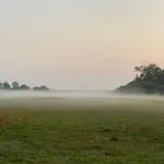 Auf Ruegen Mit Boddenblick *