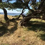 Lejlighed Auf Ruegen Mit Boddenblick
