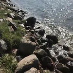 Auf Ruegen Mit Boddenblick * Groß Zicker