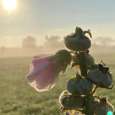 Appartement Auf Ruegen Mit Boddenblick Groß Zicker