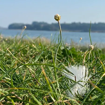 Auf Rügen Mit Boddenblick