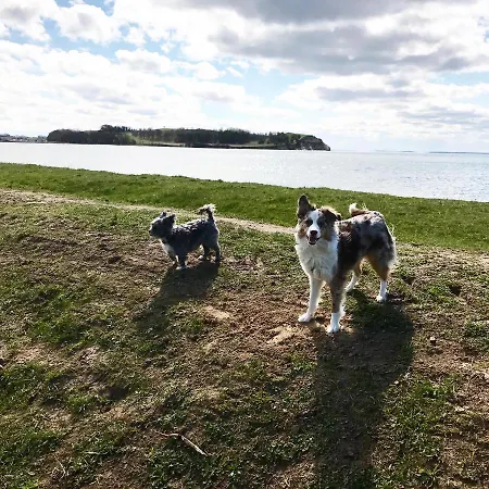 Auf Ruegen Mit Boddenblick Appartement