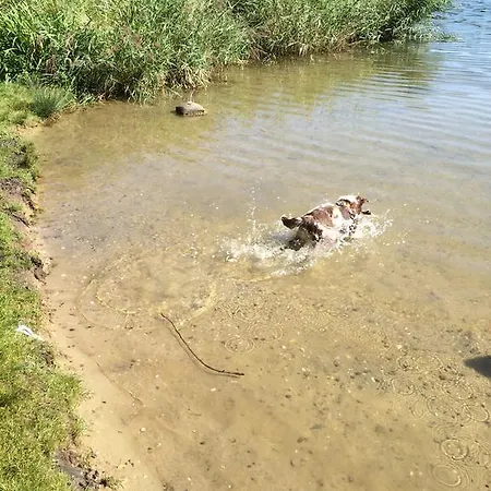 Auf Ruegen Mit Boddenblick Appartement *
