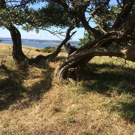 Appartement Auf Ruegen Mit Boddenblick