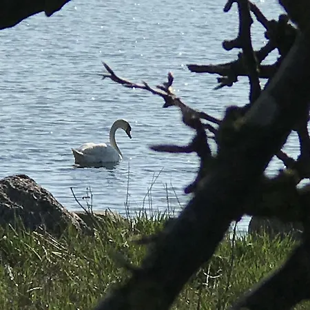 Auf Ruegen Mit Boddenblick Appartement *