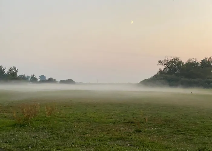 Auf Ruegen Mit Boddenblick *