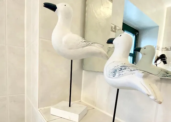 Auf Ruegen Mit Boddenblick Groß Zicker