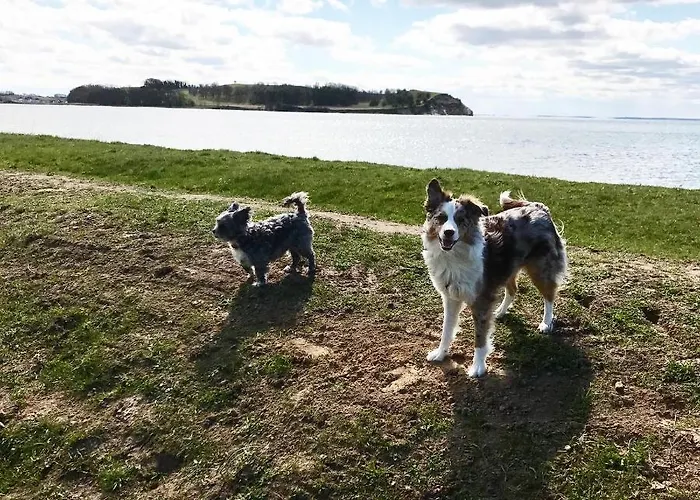 Auf Ruegen Mit Boddenblick Appartamento