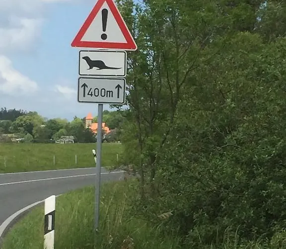 Auf Ruegen Mit Boddenblick Appartamento