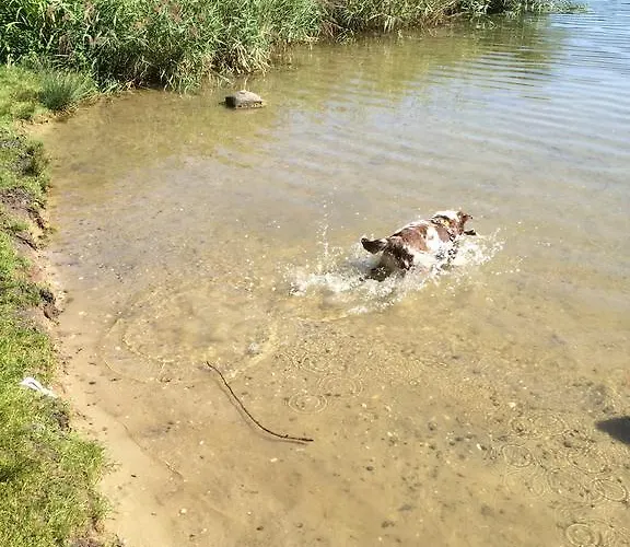 Auf Ruegen Mit Boddenblick Appartamento *