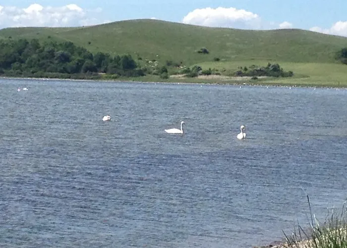 Auf Ruegen Mit Boddenblick * Groß Zicker