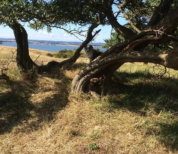 Appartamento Auf Ruegen Mit Boddenblick