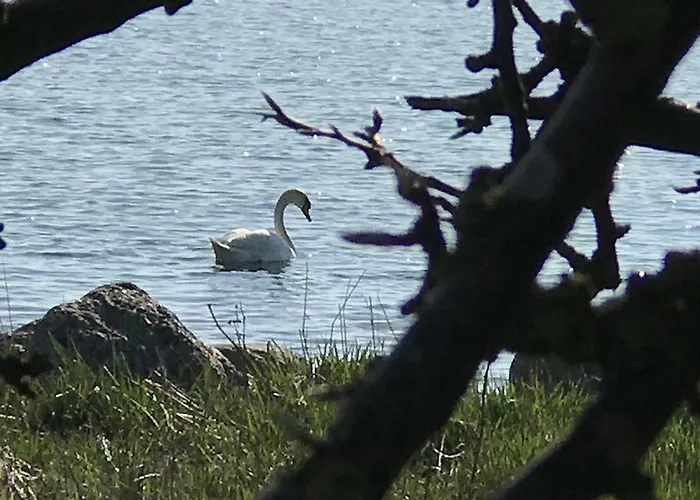 Auf Ruegen Mit Boddenblick Appartamento *